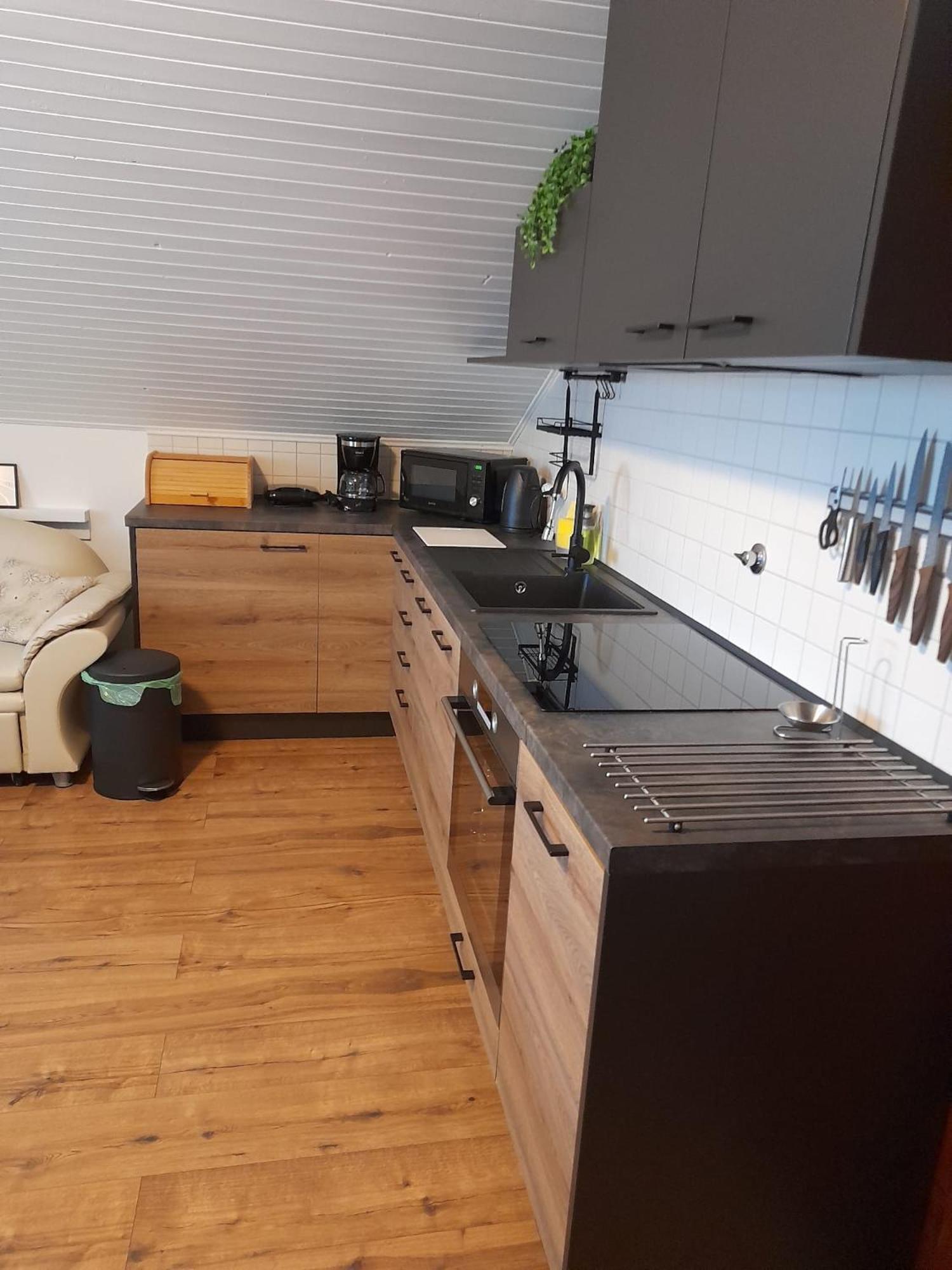 Villa Paolija Novigrad  Zewnętrze zdjęcie