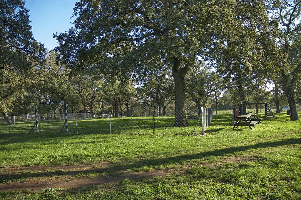 Villa Paolija Novigrad  Zewnętrze zdjęcie