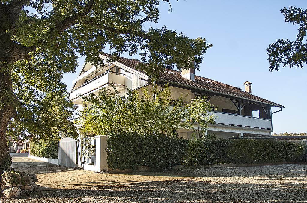 Villa Paolija Novigrad  Zewnętrze zdjęcie
